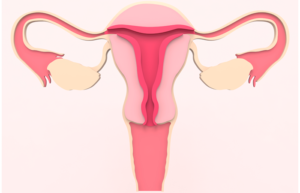 Trusted Doctor for Vaginal Dryness in Dubai