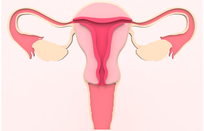 Trusted Doctor for Vaginal Dryness in Dubai